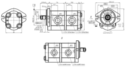Насос GP2K20/2K12L-G231FF-F