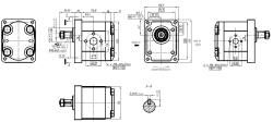 Насос GP2K25L-G261B-F